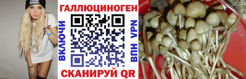 Псилоцибиновые грибы Magic Shrooms Юрьевец
